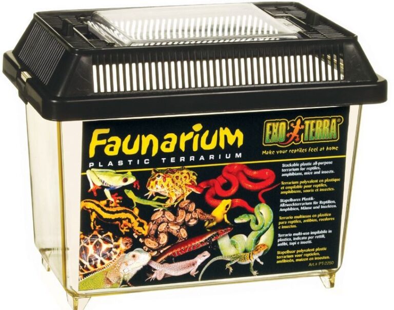 EXO TERRA Faunarium-Terrarium Mini (18×11,6×14,5cm)