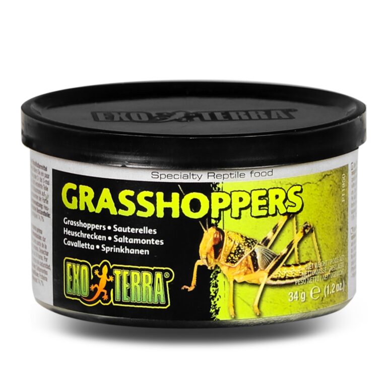 EXO TERRA Grasshoppers – pokarm w puszce konik polny