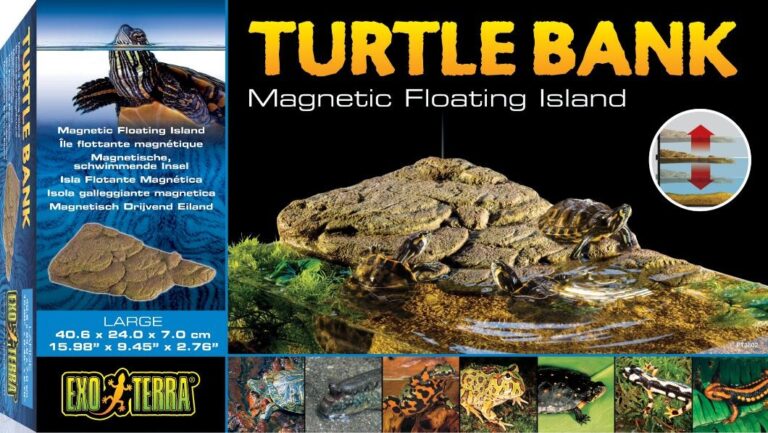 EXO TERRA wyspa duża dla żółwi (40,6x24x7cm)