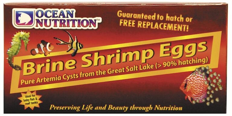 Ocean Nutrition Brine Shrimp Eggs 20g – jaja artemii