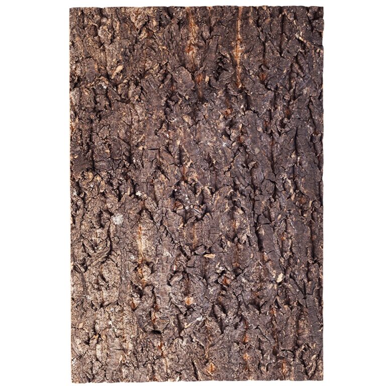 Repti-Zoo Big Tree Background – tło z kory do terrarium 20x30cm