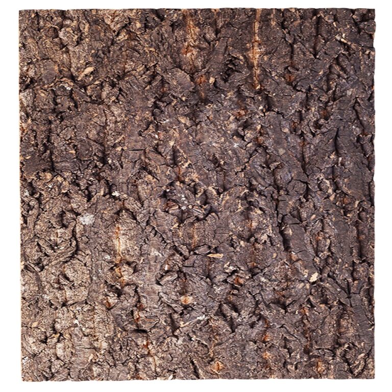 Repti-Zoo Big Tree Background – tło z kory do terrarium 30x30cm