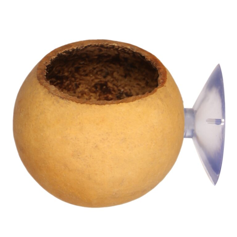 Terrario Hang Bowl Natural – łupina miska wisząca z przyssawką